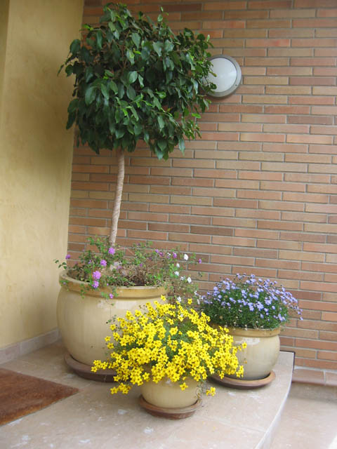 100-0060_IMG.jpg