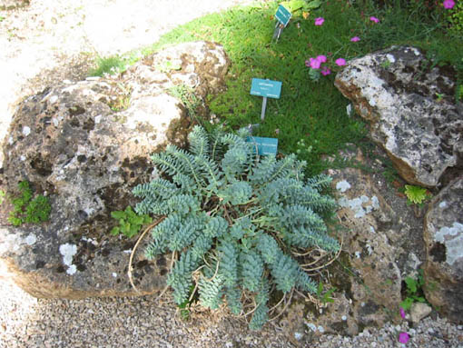 100-0075_IMG.jpg
