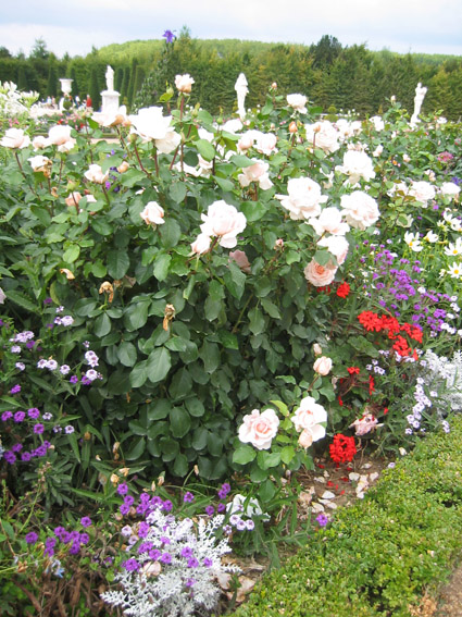 100-0085_IMG.jpg