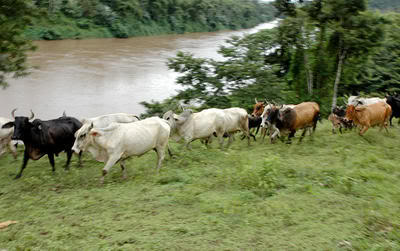 100-0840.jpg