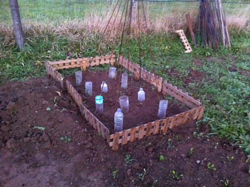 1000001063.jpg
