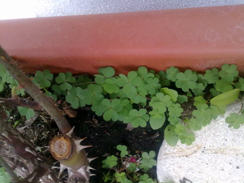 100320111241.jpg