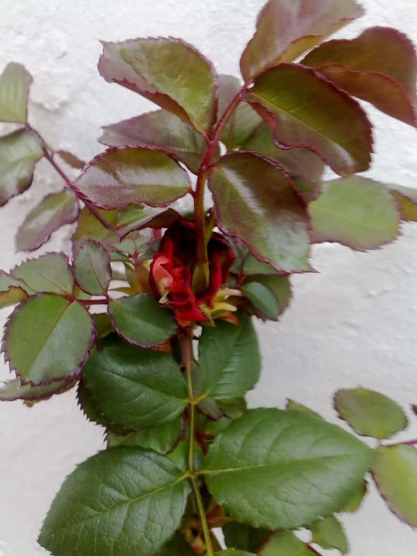 100320111254.jpg