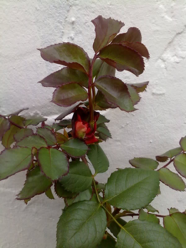 100320111256.jpg