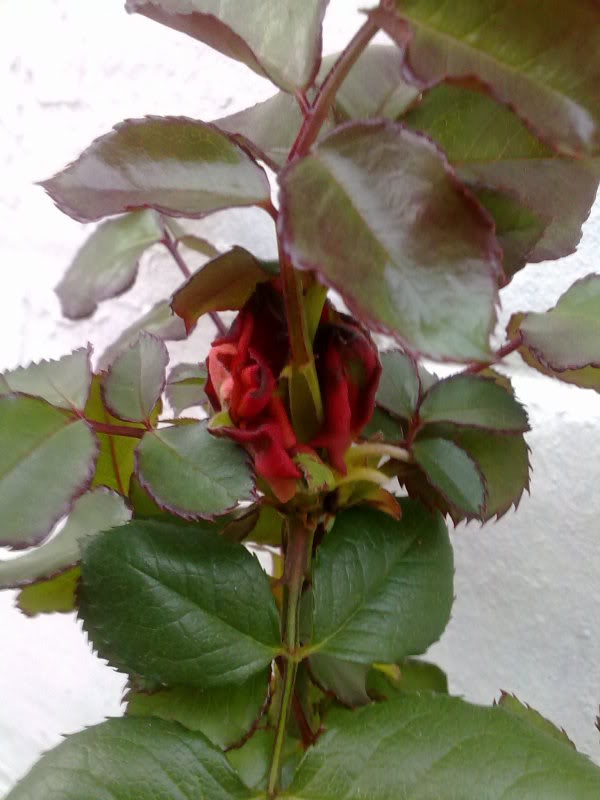 100320111259.jpg