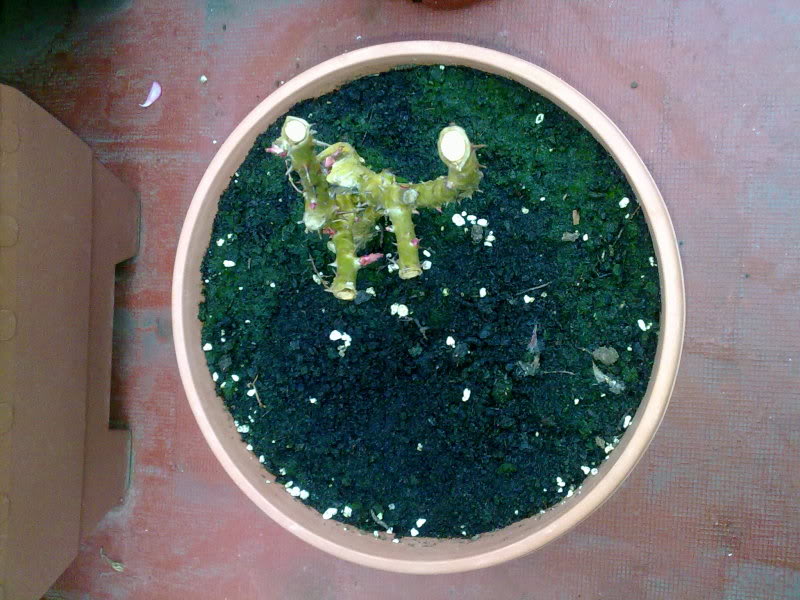 100320111261.jpg