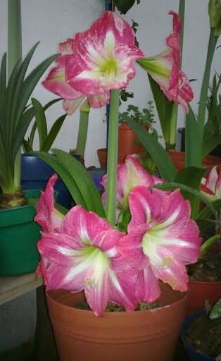 10032012858.jpg
