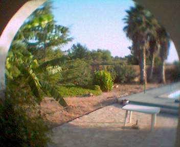 1003_183516.jpg