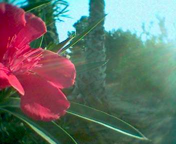 1003_183756.jpg