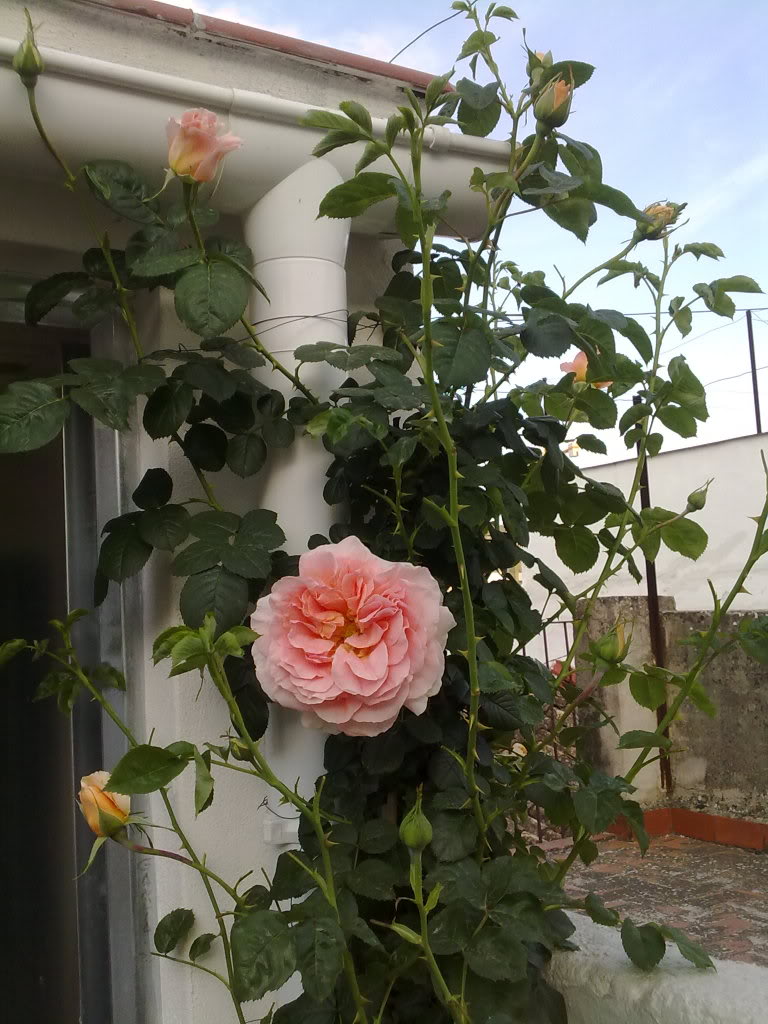 100420111385.jpg