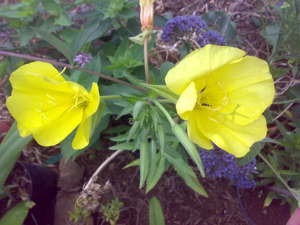 1006201212266.jpg