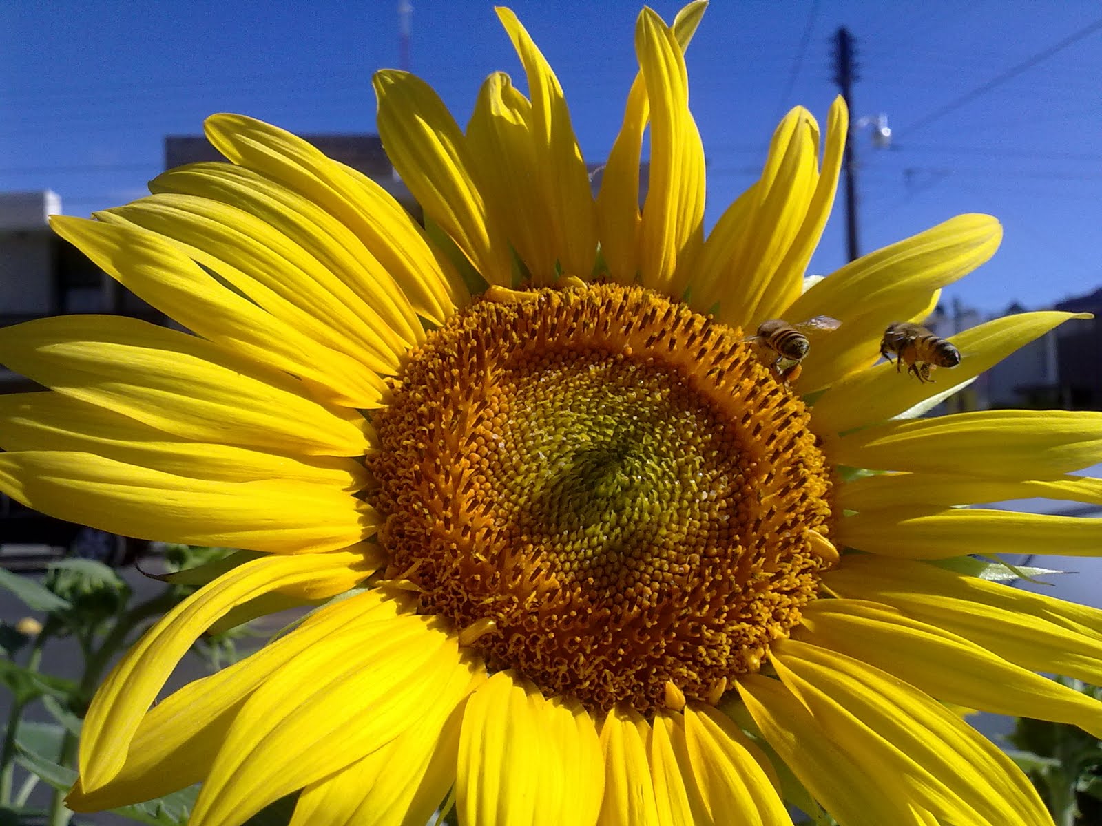 100720101332.jpg
