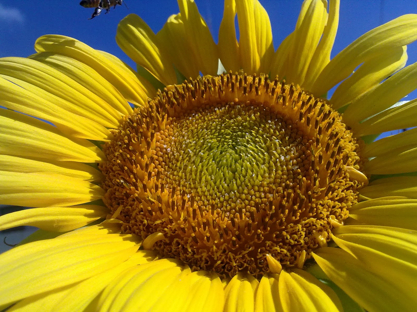 100720101333.jpg