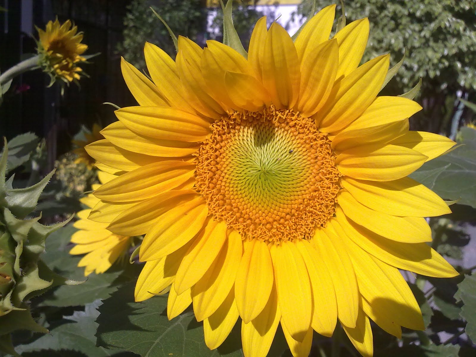 100720101336.jpg