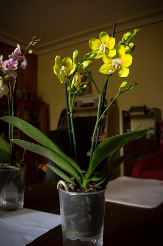 10072954836_6af656e548.jpg