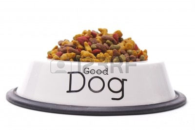 1007591-aislado-plato-de-comida-para-perros-para-un-buen-perro.jpg