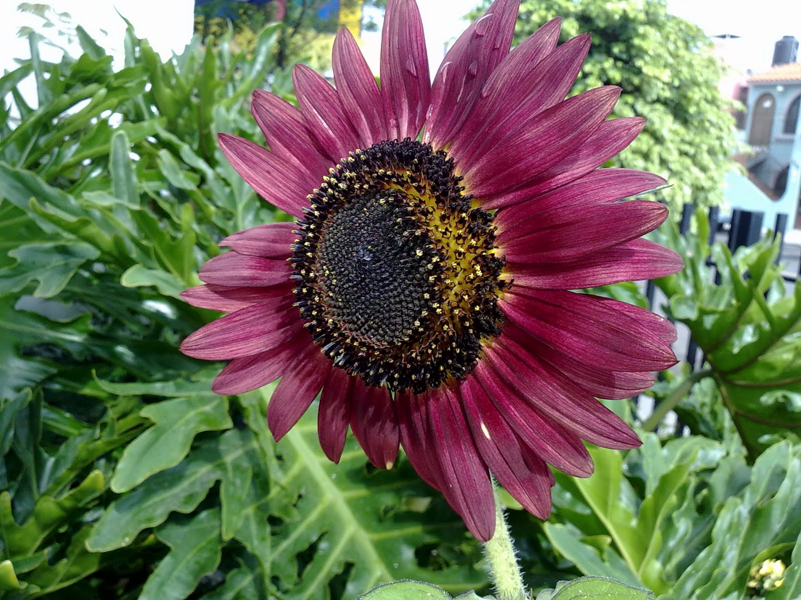 100820102538.jpg