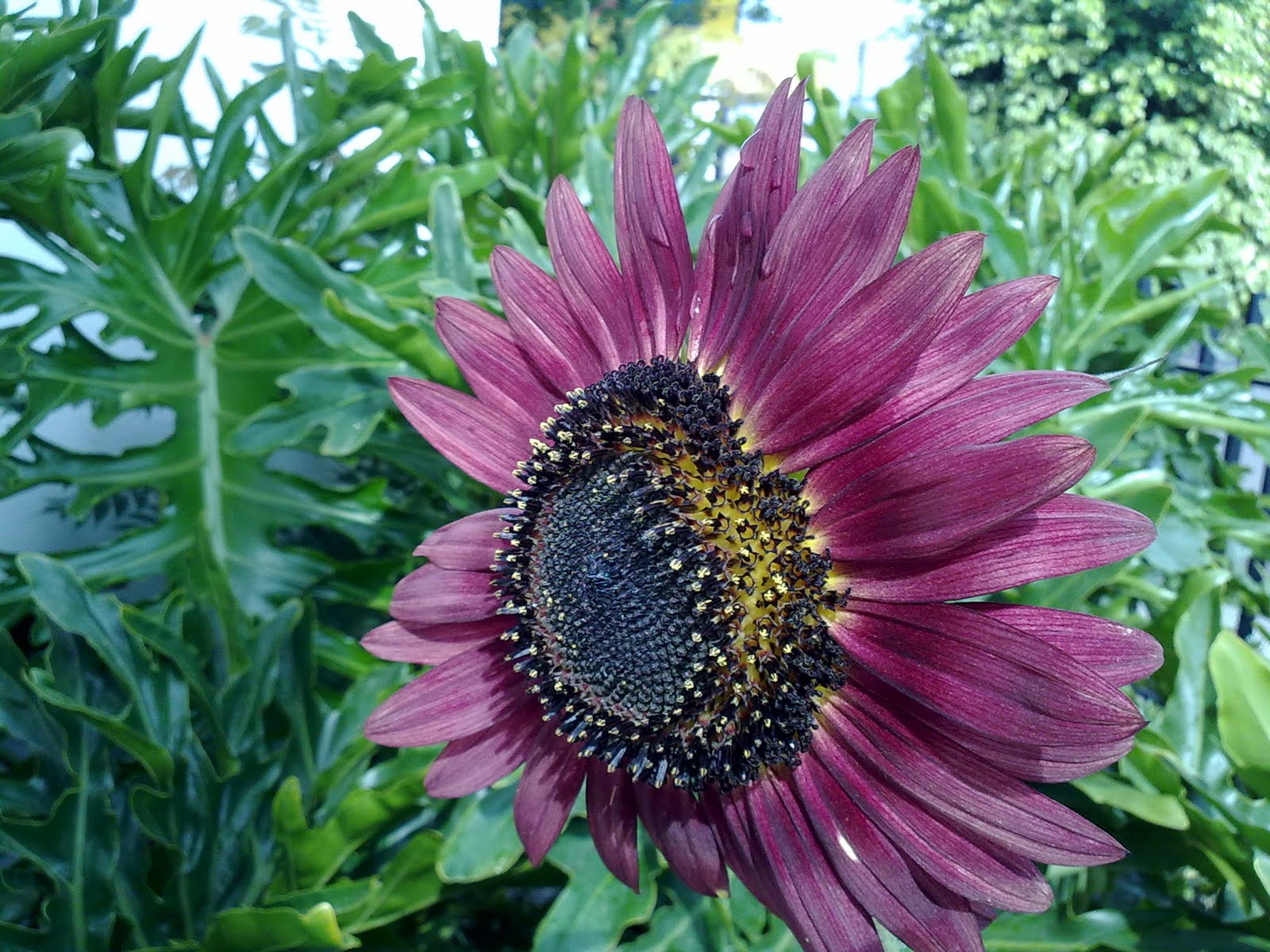 100820102539.jpg