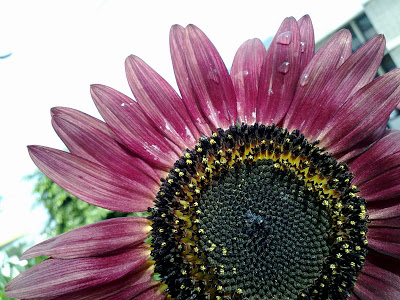 100820102541.jpg