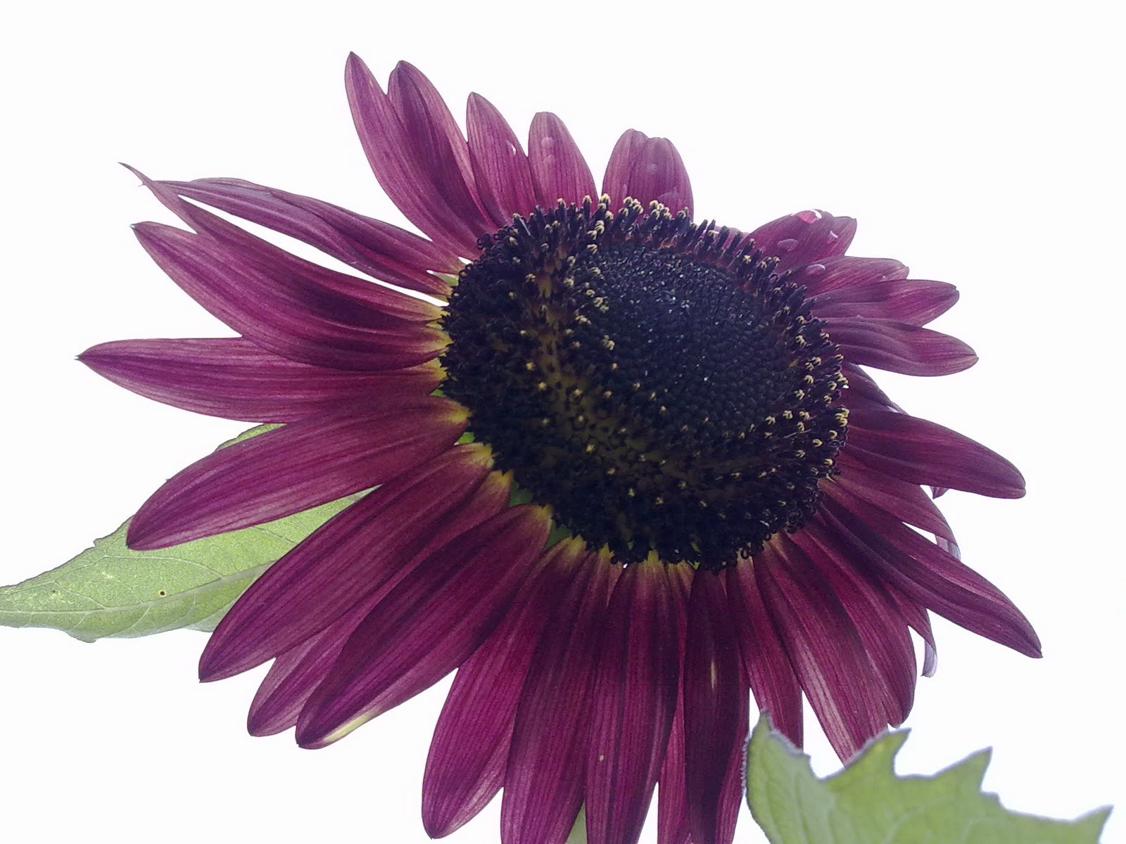 100820102547.jpg