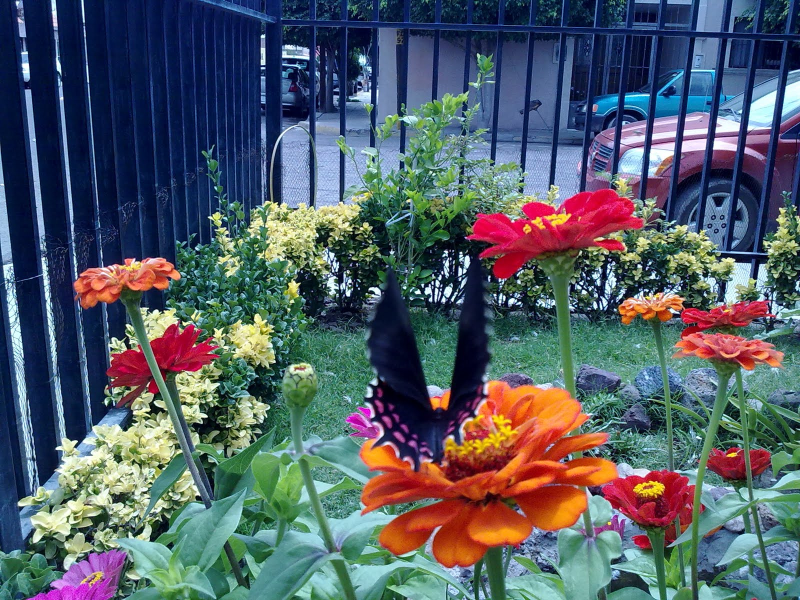100820102550.jpg