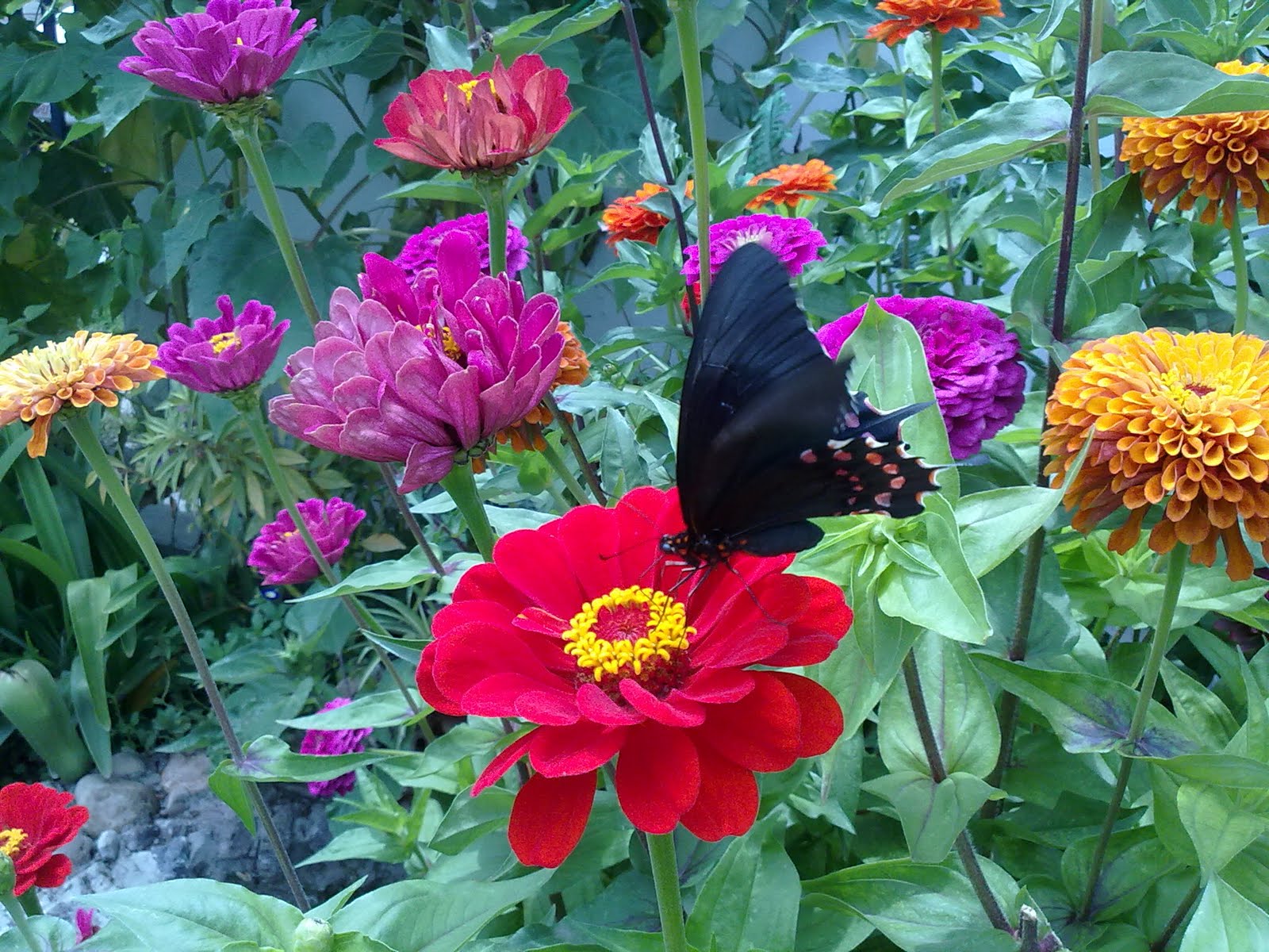 100820102552.jpg