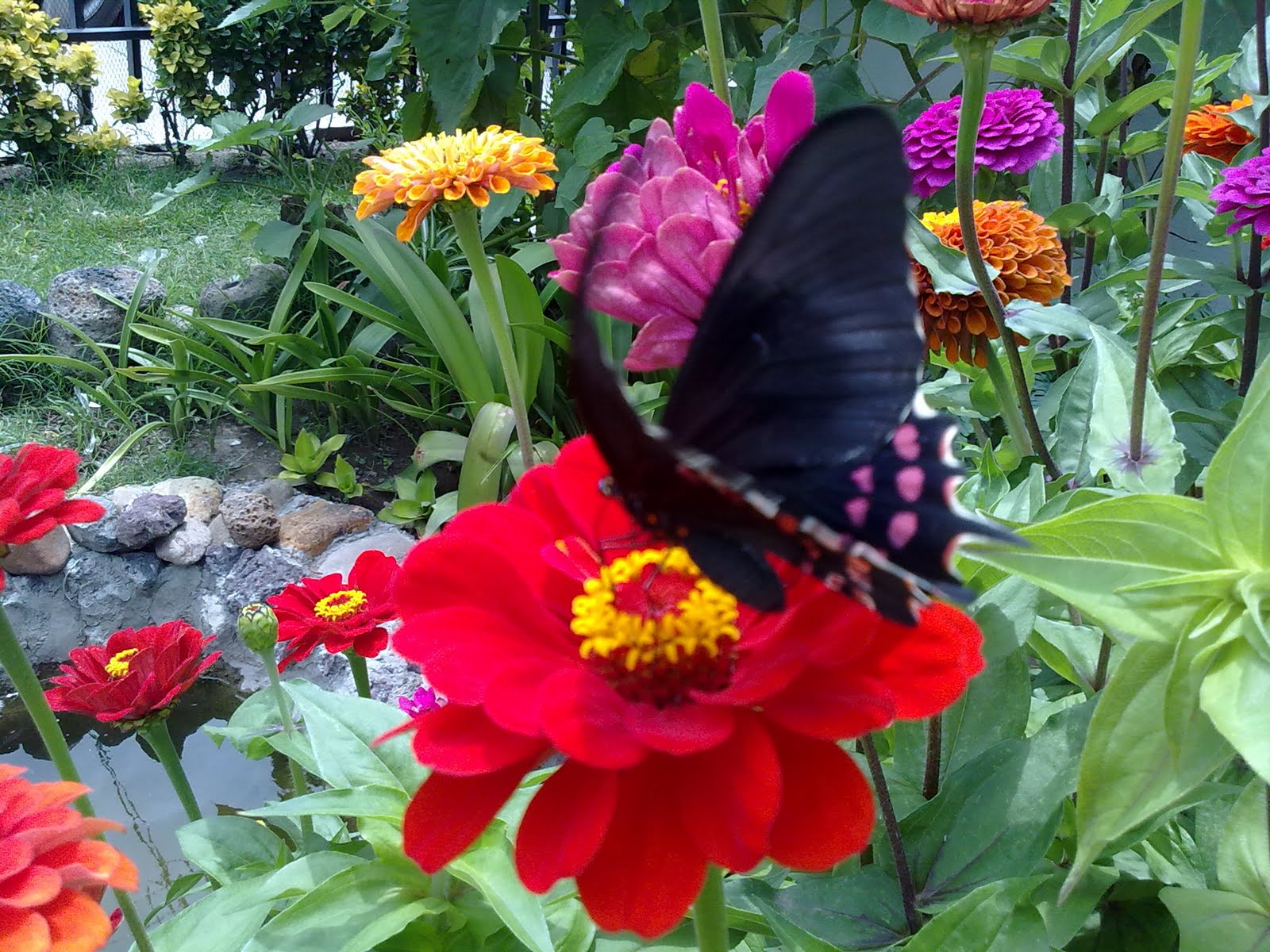 100820102553.jpg