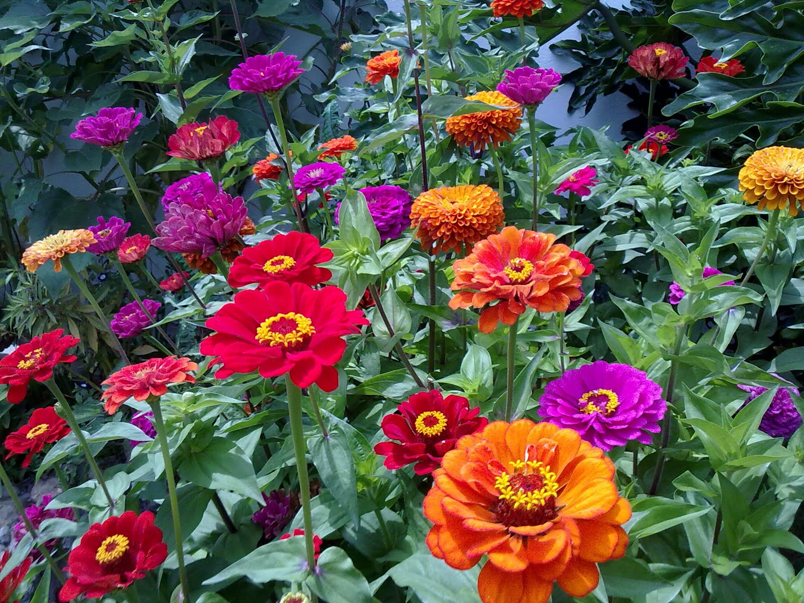 100820102554.jpg