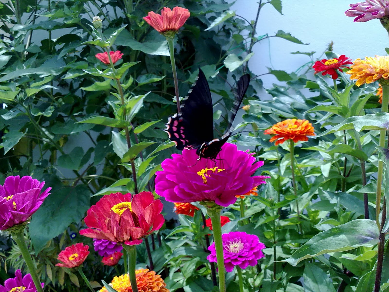 100820102555.jpg