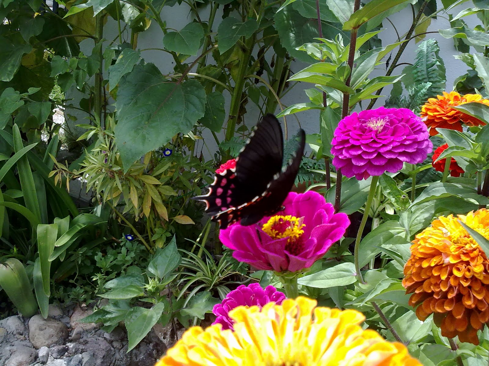 100820102556.jpg