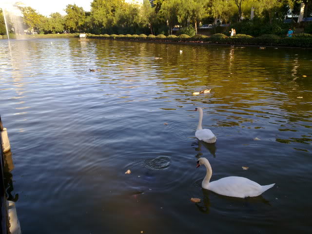 10092010606.jpg
