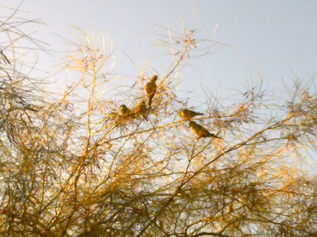 10092010610.jpg