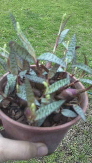 100_0028.jpg