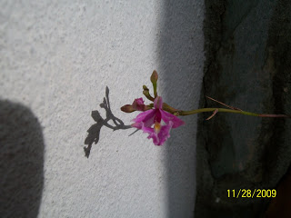 100_0032.jpg