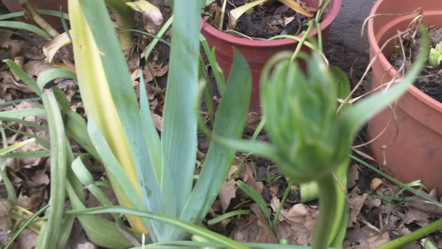 100_0034.jpg
