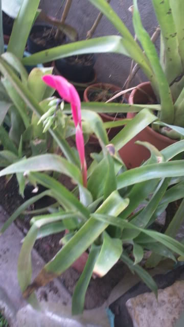 100_0041.jpg