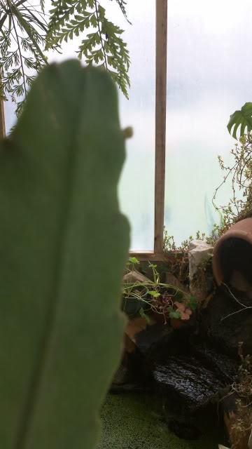 100_0043.jpg