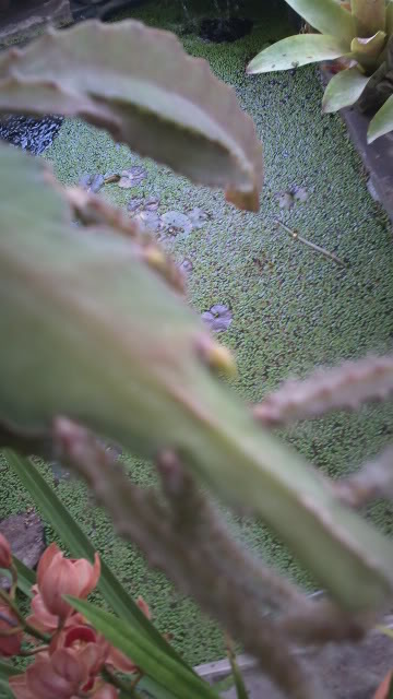 100_0044.jpg