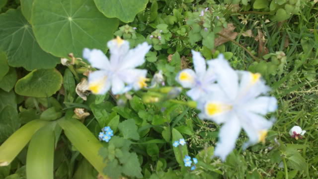 100_0050.jpg