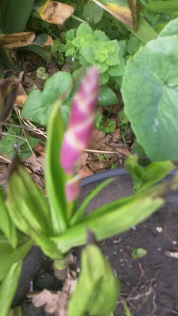 100_0053.jpg