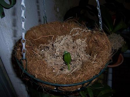 100_0112.jpg