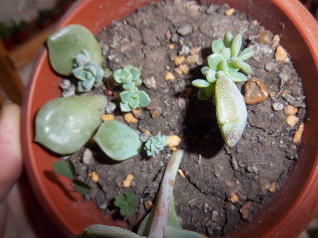 100_0130.JPG