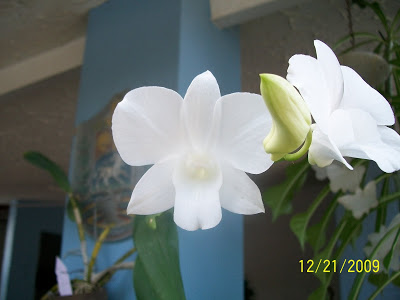 100_0160.jpg