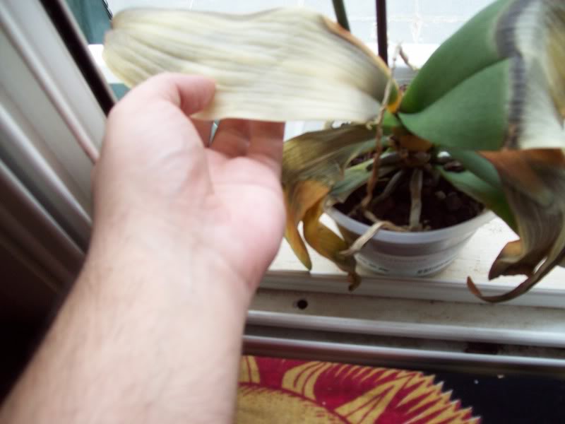 100_0283.jpg
