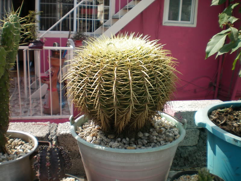 100_0310.jpg