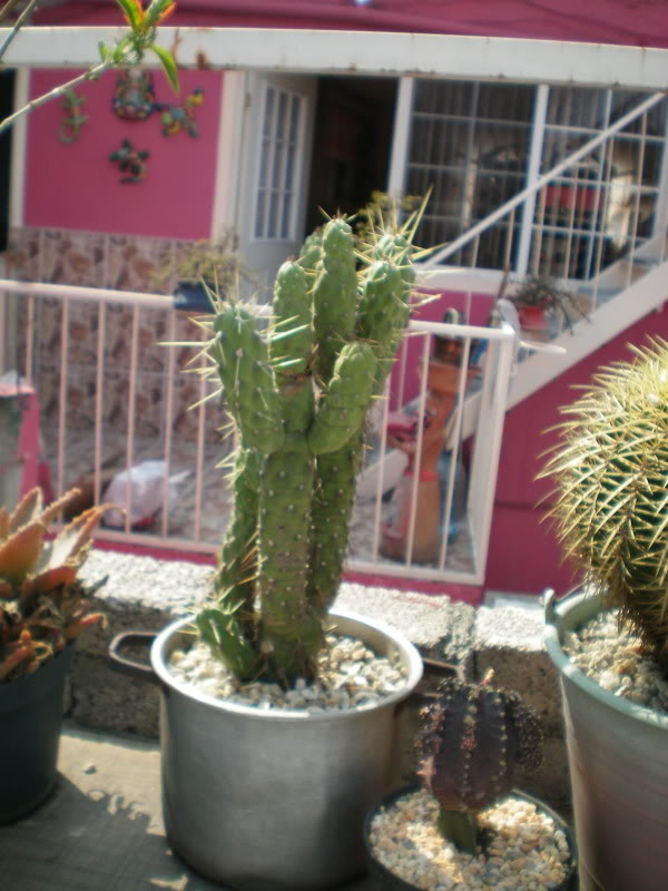 100_0311.jpg