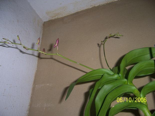 100_0312.jpg