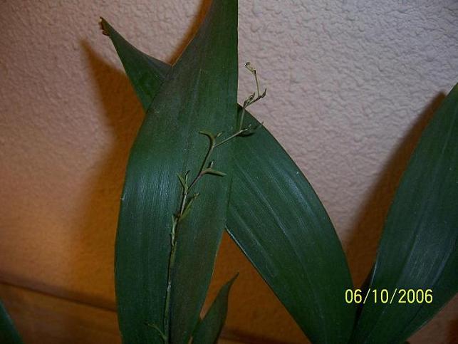 100_0320.jpg
