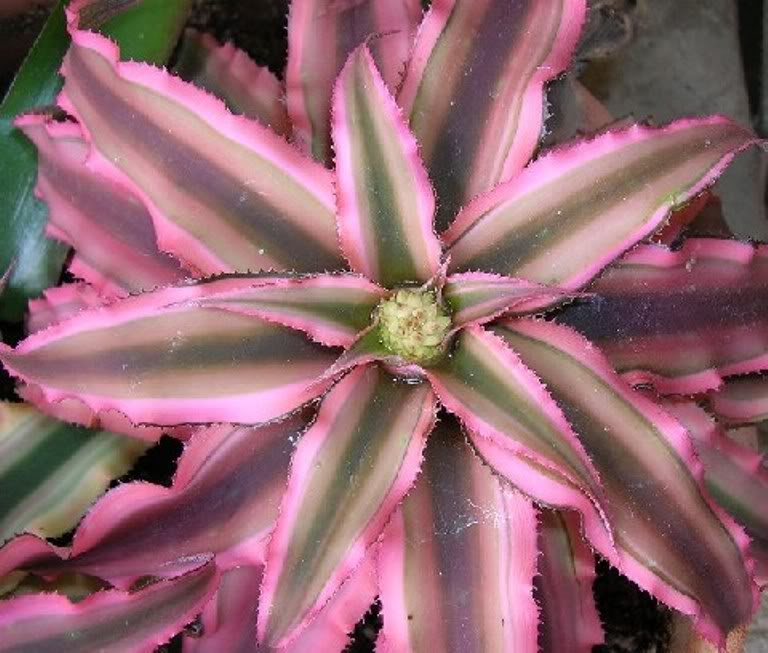 100_0350.jpg