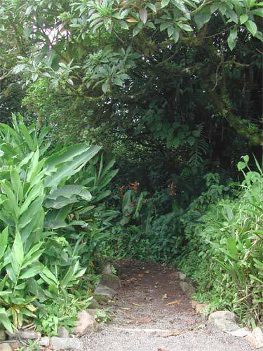 100_0355.jpg
